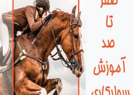 نکاتی درباره آموزش اسب سواری